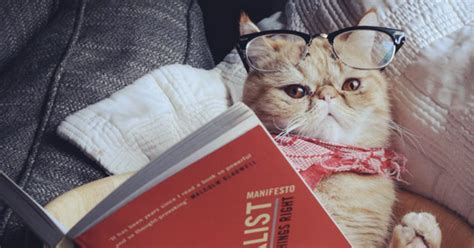 Goodreads On Twitter Adorable Animals Reading Books