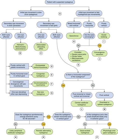 Nystagmus Neupsy Key