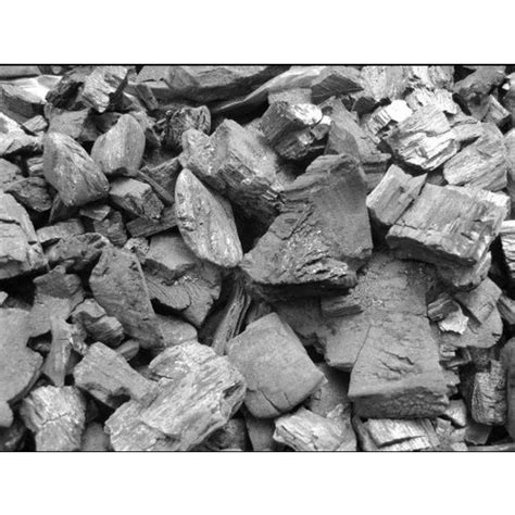 Wood Charcoal At Rs 19kilogram Wood Charcoal In Lucknow Id