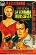 La ventana indiscreta - Película 1954 - SensaCine.com