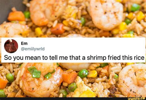 Em I So You Mean To Tell Me That A Shrimp Fried This Rice Ifunny