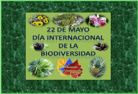 Plan Lectura Chaco 22 De Mayo Día De La Diversidad Biológica