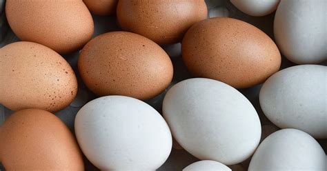 Duck Eggs Vs Chicken Eggs Nutrition Benefits And More