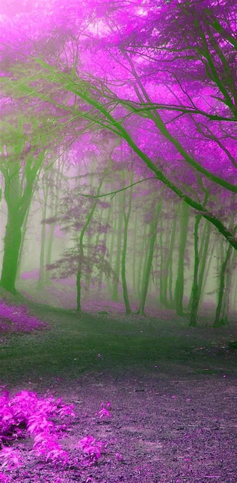 Purple Forest Wallpaper By Julianna Download On Zedge 8b1c