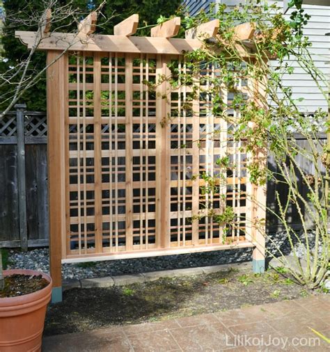 The honeysuckle may be the queen of flowering vines, twining with abandon around arbors and archways, trellises and tree trunks, filling the air with their intoxicating scent. Arbors, Pergolas, and Trellises, OH, MY! | Indianapolis