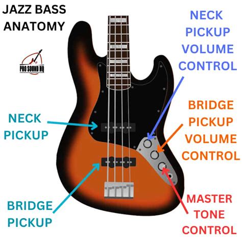 Jazz Bass Vs Precision Bass In Depth Comparison Pro Sound 42 OFF