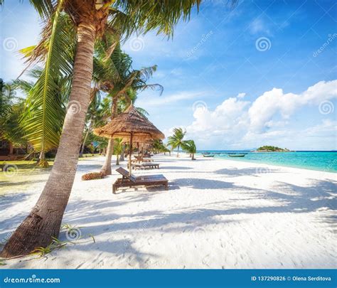 Asian Tropical Beach Paradise In Thailand Stock Photo Image Of Lipe