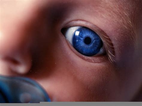 Hd Wallpaper Blue Pacifier Eyes Child 156 Human Body Part