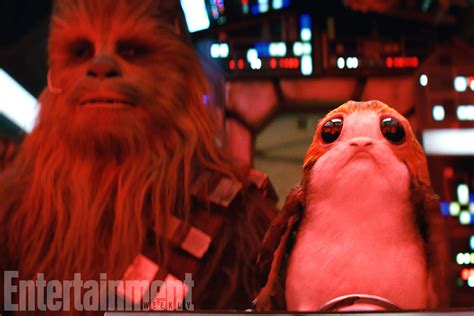 Meet The Adorable Porg Creatures From Star Wars The Last Jedi That