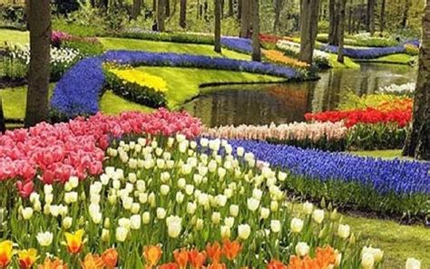 Tanaman hias ini merupakan asli indonesia dan memiliki penampilan yang sangat dekoratif sehingga banyak disukai untuk taman kecil rumah. Tour Bandung - Wisata Bandung - Paket Wisata Bandung ...