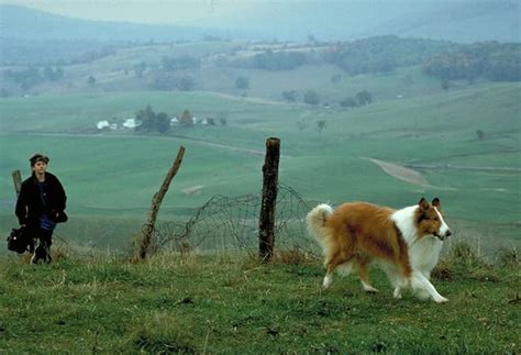 Lassie 1994