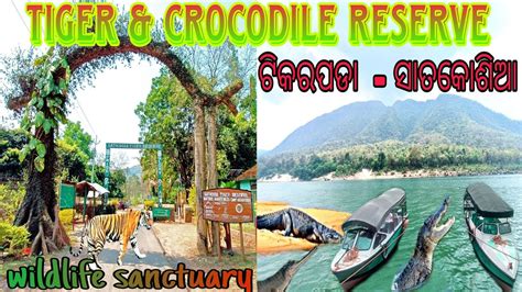 Tikarpara Crocodile Reserve Satkosia Tiger Reserve ଅନଗଳ ଓଡଶ