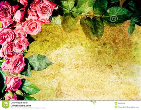 Vintage Rose Frame Stock Photo Image Of Border Heart 20530214