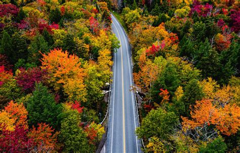 Wallpaper Road Autumn Forest Trees Vermont Vermont Smugglers