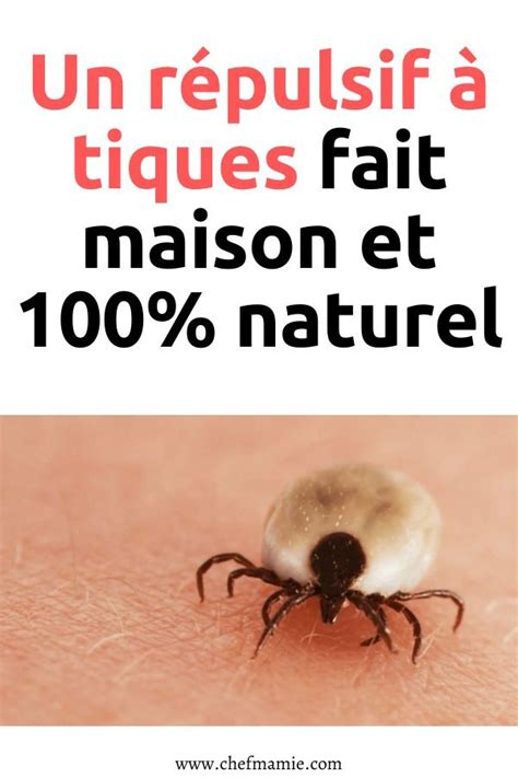 Un Répulsif à Tiques Fait Maison Et 100 Naturel Tiques Repulsif