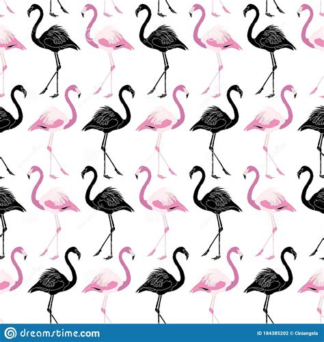 Flamingo Seamless Pattern Background Design Black And Pink Stock Vector