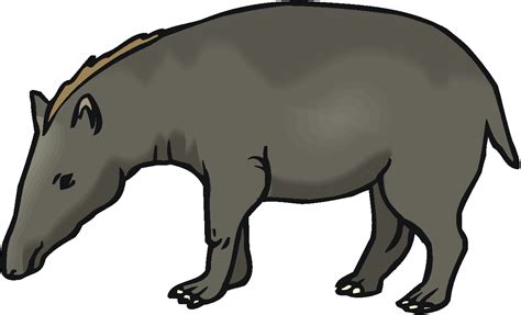 Polish your personal project or design with these lowland transparent png images, make it even more personalized and more attractive. Free Tapir Clipart