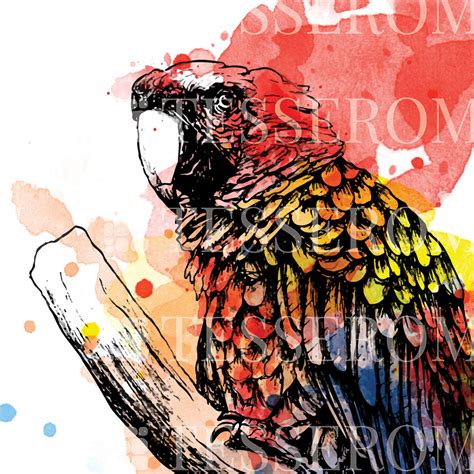 Scarlet Macaw Print Watercolor Print Animal Print Wall Art Etsy México