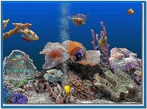 Virtual Saltwater Aquarium Screensaver Download Free