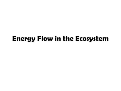 Ppt Energy Flow In The Ecosystem Powerpoint Presentation Free