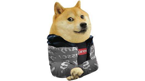 Le Drip Template Has Arrived Rdogelore Ironic Doge Memes Know