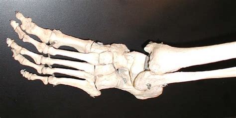 Watch structure basics for an introduction to structure principles. Lasers look inside human bones - Physics World