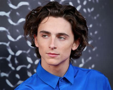 Timothee Chalamet Sexuality Xxx Nudes