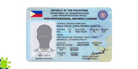 Philippines Driver License Psd Template Aslitheme
