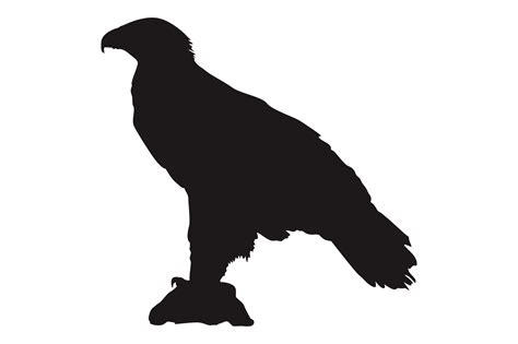 Free Animal Perched Eagle Silhouette 23258095 Png With Transparent