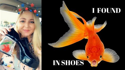 Introducir 74 Imagen Shoes With Fish In Them Abzlocalmx
