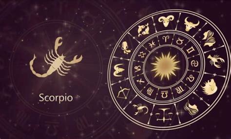 Celebrating Scorpio Season Heres Everything You Need To Know About