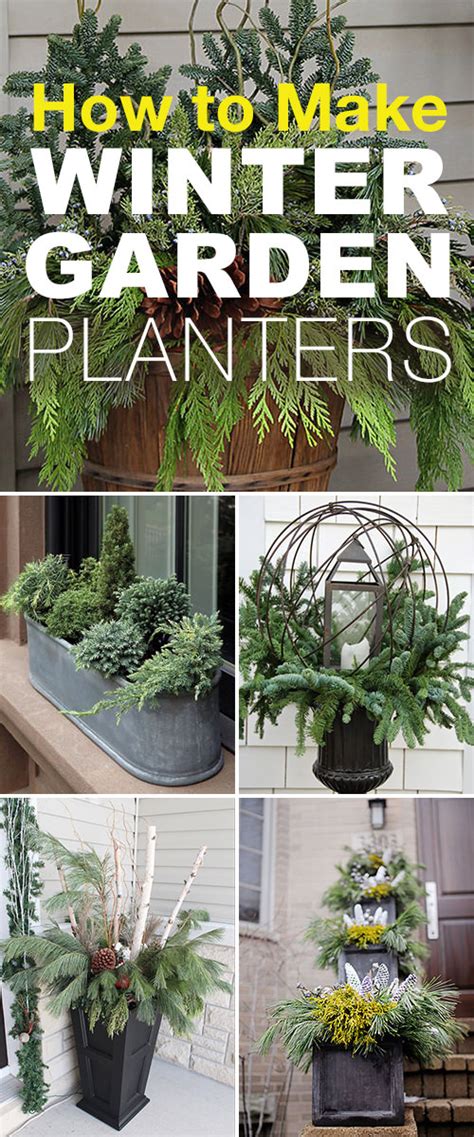 Start date jun 22, 2012. How to Make Winter Garden Planters | Winter garden, Winter ...