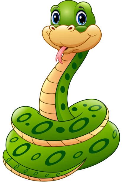 Best Green Anaconda Illustrations Royalty Free Vector Graphics And Clip