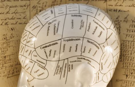 Presenting The Most Comprehensive Map Of The Human Brain Aivanet