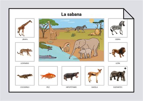 Vocabulario Animales Hábitats Naturales Vocabulario Soyvisual