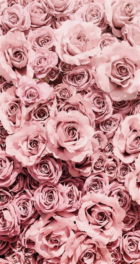 Download Pretty Flowers Rose Gold Iphone Wallpaper