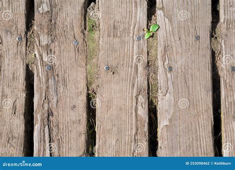 Old Worn Wooden Planking Background Stock Photo Image Of Grain