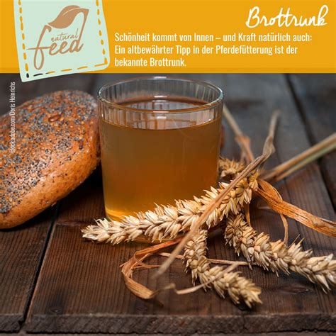 Brottrunk in der Pferdefütterung