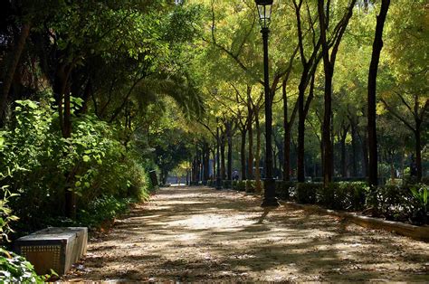 Parques Urbanos Apoyando Al Medio Ambiente Parques Alegres Iap