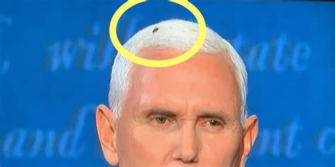 A Fly Landed In Mike Pence S Hair During The Vp Debate