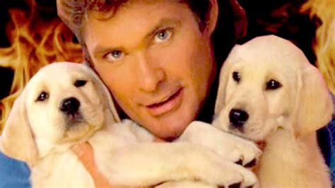 Collection Top 35 David Hasselhoff Wallpaper Hd Download