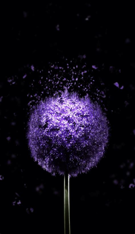 Make each time a real pleasure so we make this app for your phone. 4K Violet Wallpapers - Top Free 4K Violet Backgrounds - WallpaperAccess