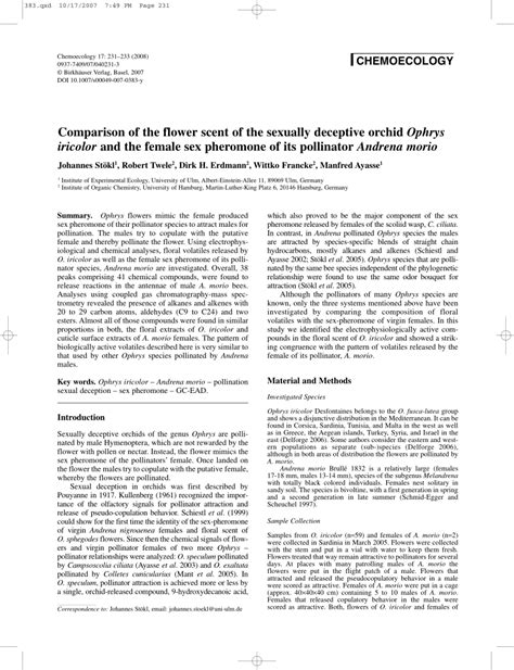 Pdf Comparison Of The Flower Scent Of The Sexually Deceptive Orchid Ophrys Iricolor And The