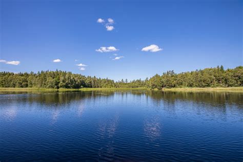 Explore Habitats | Forest | Lakes | Prairies | Wetlands | EEK! Wisconsin