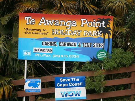 Te Awanga Point holiday park Cape Kidnappers | Te Awanga