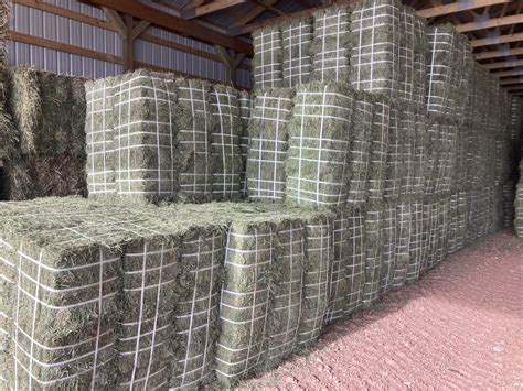 Horse Hay For Sale 1st Cutting 70 Orchard 30 Alfalfa Small Bale Bundles