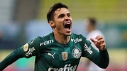 Raphael Veiga marca o gol mais rápido do Palmeiras pelo Brasileirão ...