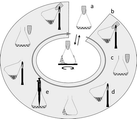 An ideal filtration system for the sterilization of animal cell culture media must fulfill the following criteria: A Shake-Up in Cell Culturing: Flame Sterilization May ...
