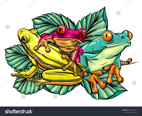 Various Frogs Cartoon Vector Illustration Design Stock Vector Royalty