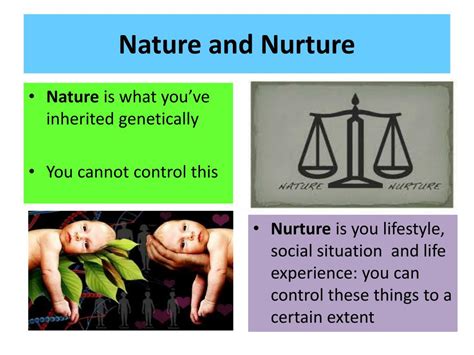 Ppt Nature And Nurture Powerpoint Presentation Free Download Id